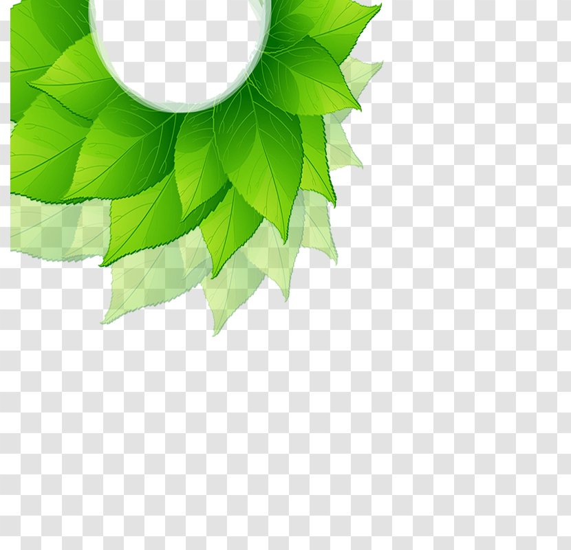 Leaf Green - Landscape - Free Clip Transparent PNG