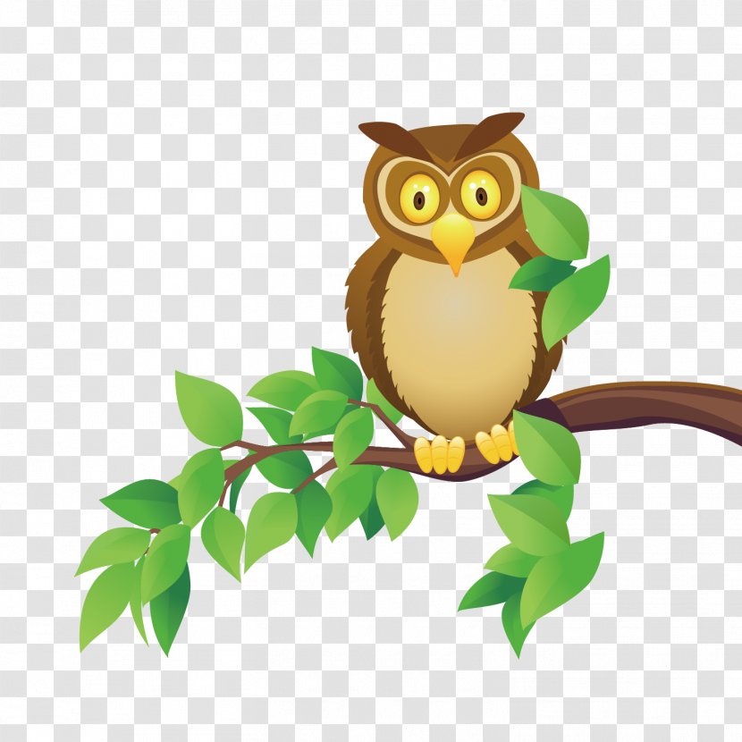 Owl Cartoon - Bird Of Prey - Vector Transparent PNG