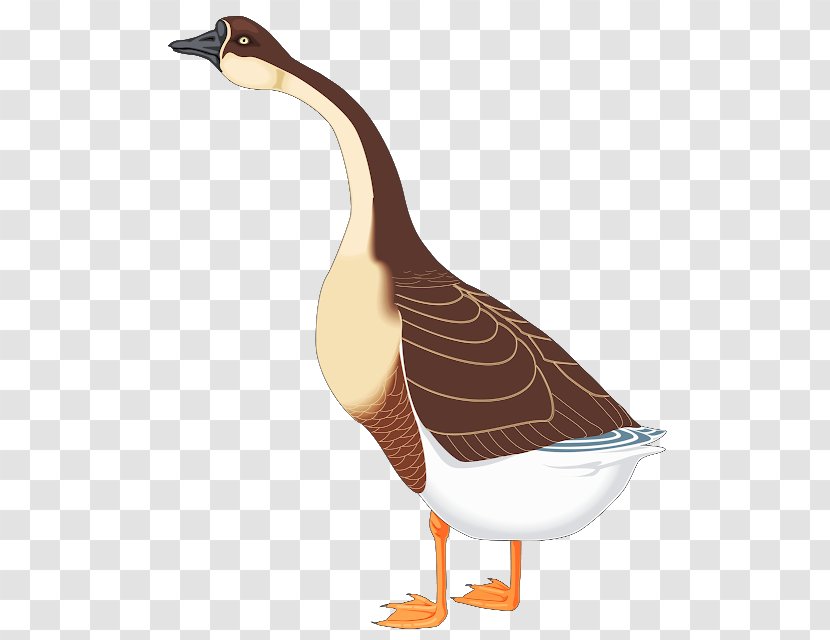 Canada Goose Cygnini Clip Art - Brent Geese Transparent PNG