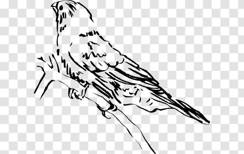 Beak Clip Art Bird Lark Image - Feeders Transparent PNG