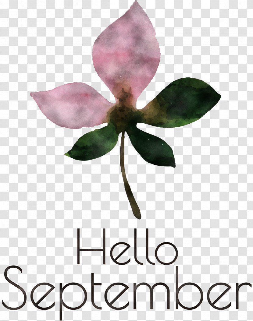 Hello September September Transparent PNG