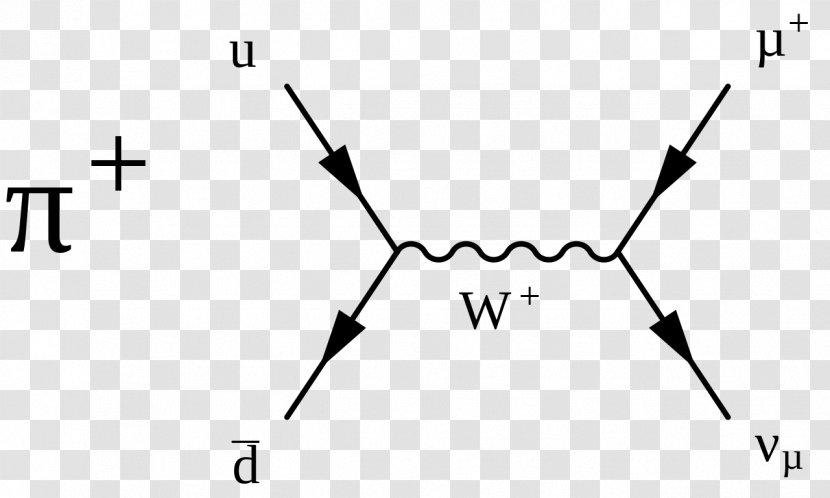 Particle Physics Pion Weak Interaction Decay Feynman Diagram - Cartoon Transparent PNG