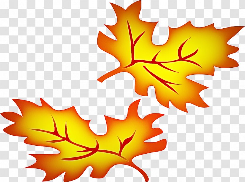 Maple Leaf - Yellow - Plane Plant Transparent PNG