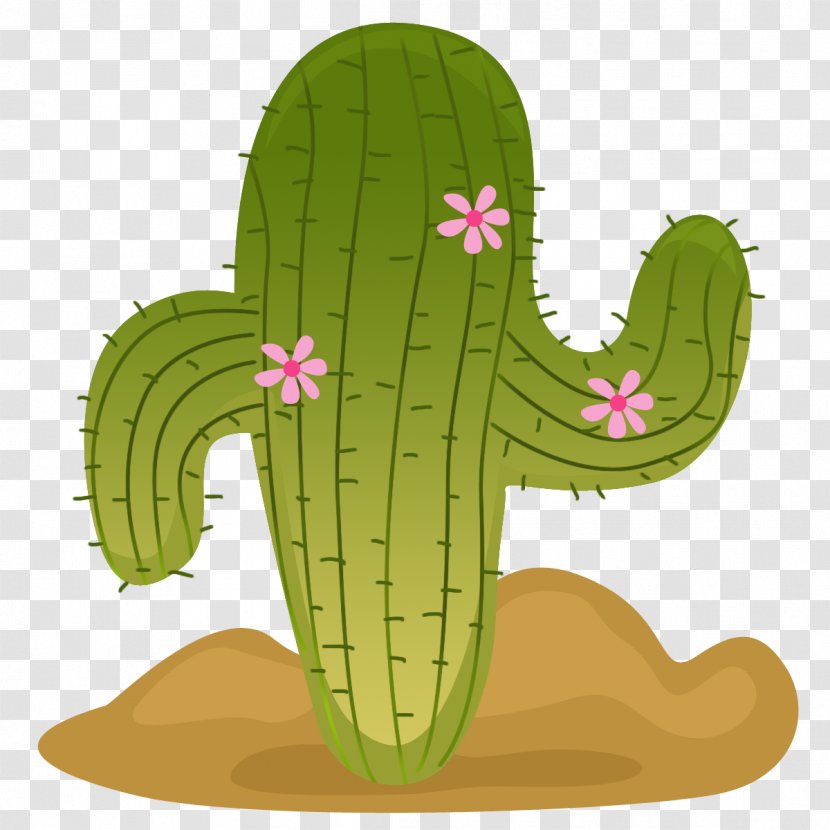 Cactaceae Mexico Flowering Plant Clip Art - Cactus Transparent PNG