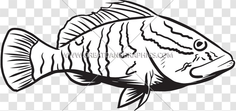 Fish Grouper Line Art Black Sea Bass Clip Transparent PNG