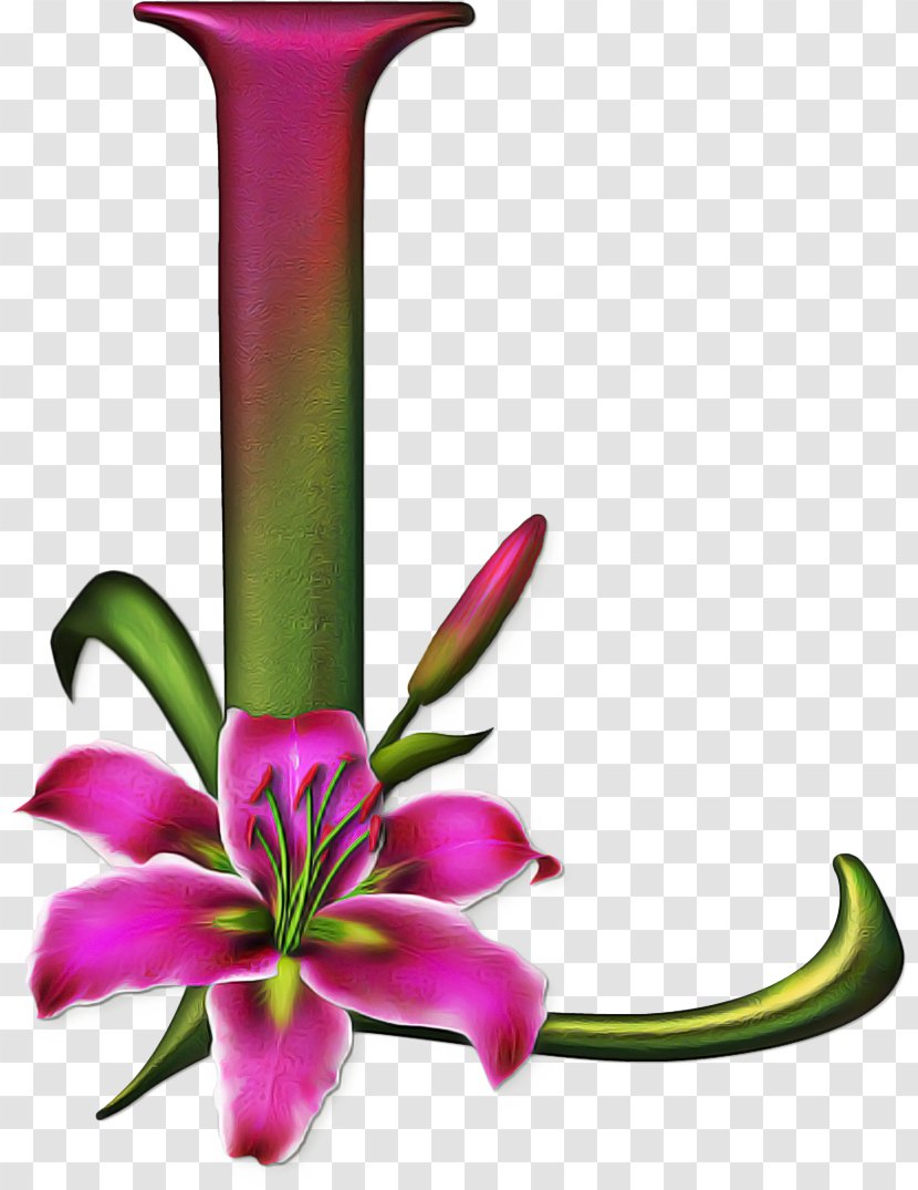 Pink Flower Cartoon - English Alphabet - Wildflower Plant Stem Transparent PNG