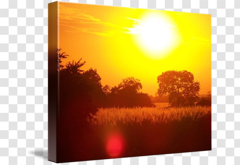Heat Sunlight Kolej Tuanku Ja'afar Picture Frames Morning - Sky Plc - Setting Sun Transparent PNG