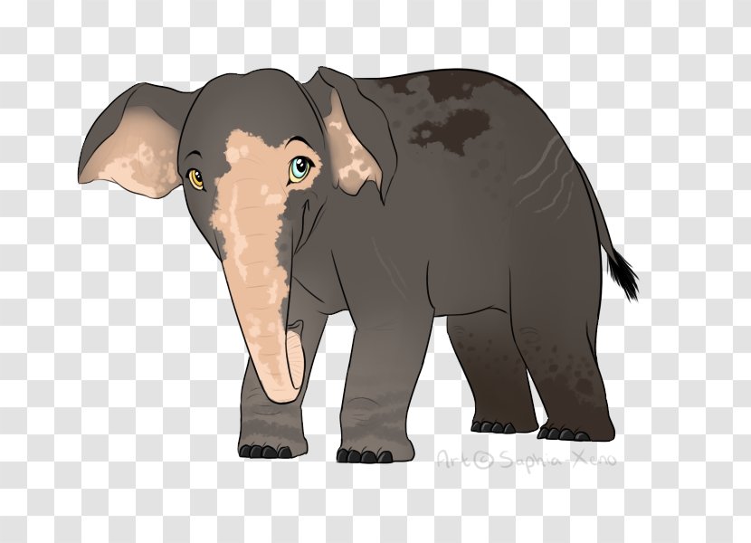 Indian Elephant - Animal Figure - Working Transparent PNG