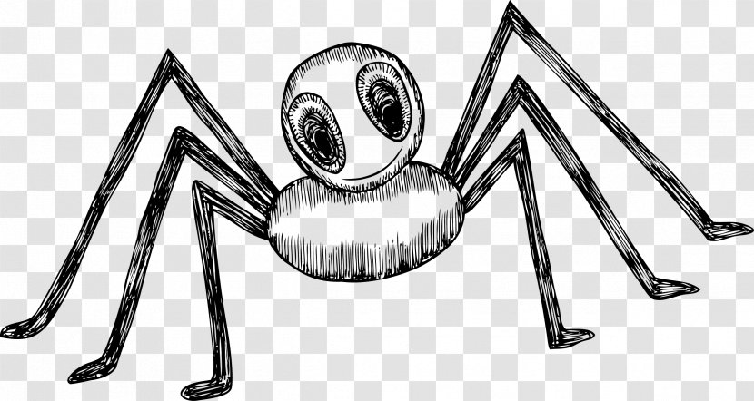 Spider Drawing - Web - Strange Transparent PNG