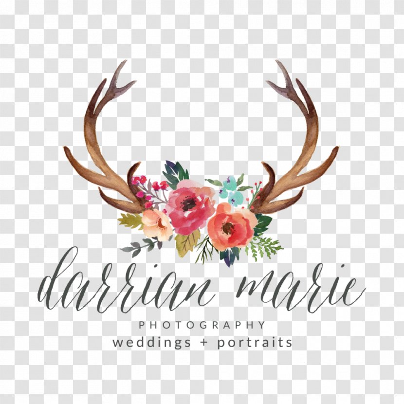 Deer Antler Floral Design Moose Flower - Wreath Transparent PNG