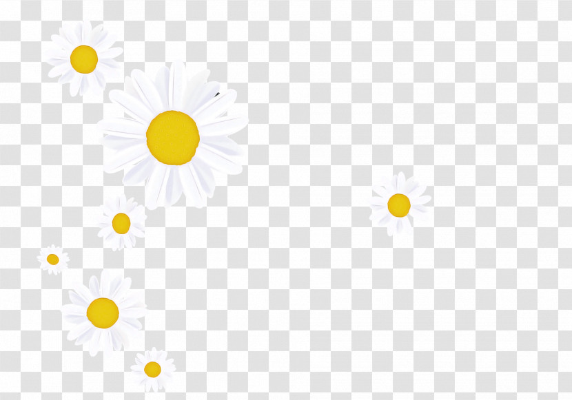 Petal Circle Flower Yellow Meter Transparent PNG