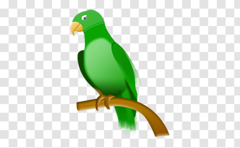 Parrot - Tropical Rainforest Transparent PNG