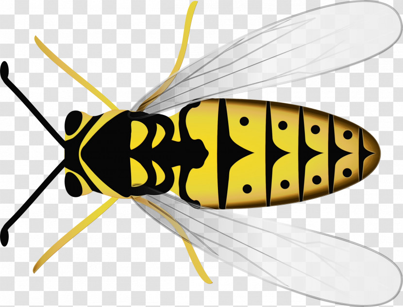 Fly Bees Pollinator Wasp Stx Eu.tm Energy Nr Dl Transparent PNG