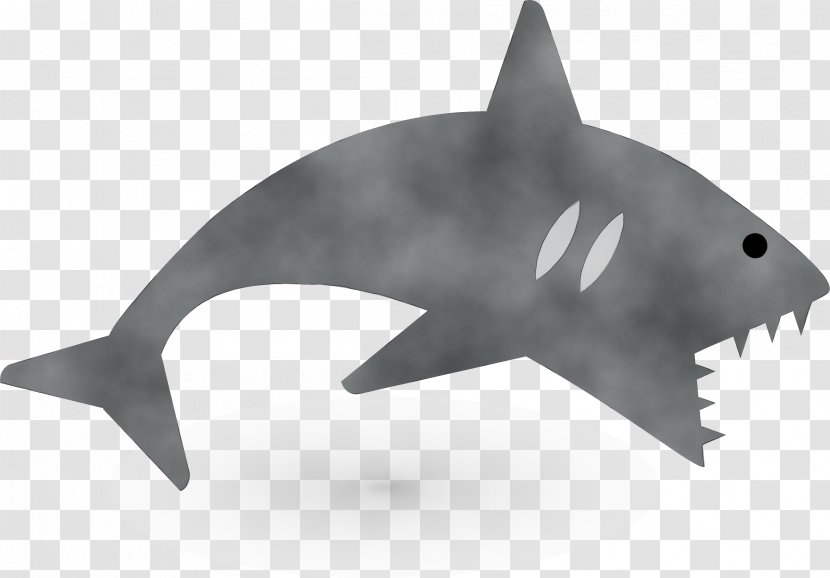 Great White Shark Background - Animal Figure - Requiem Transparent PNG