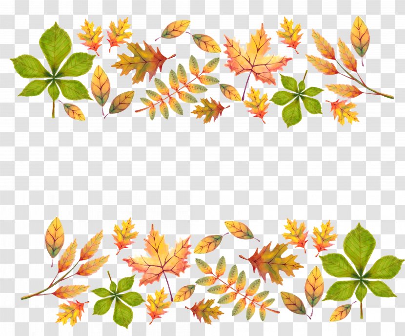 Painted Yellow Autumn Leaves Decoration - Maple Leaf - Flowering Plant Transparent PNG