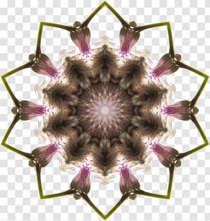 Kaleidoscope Clip Art - Purple - Wildflower Heading Box Transparent PNG