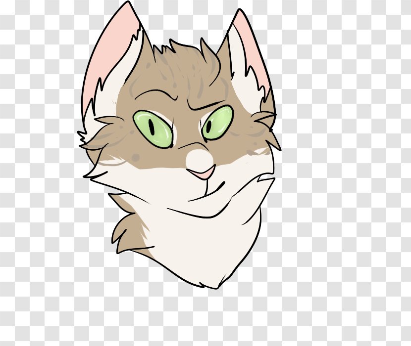 Whiskers Tabby Cat Kitten Domestic Short-haired Wildcat - Flower Transparent PNG
