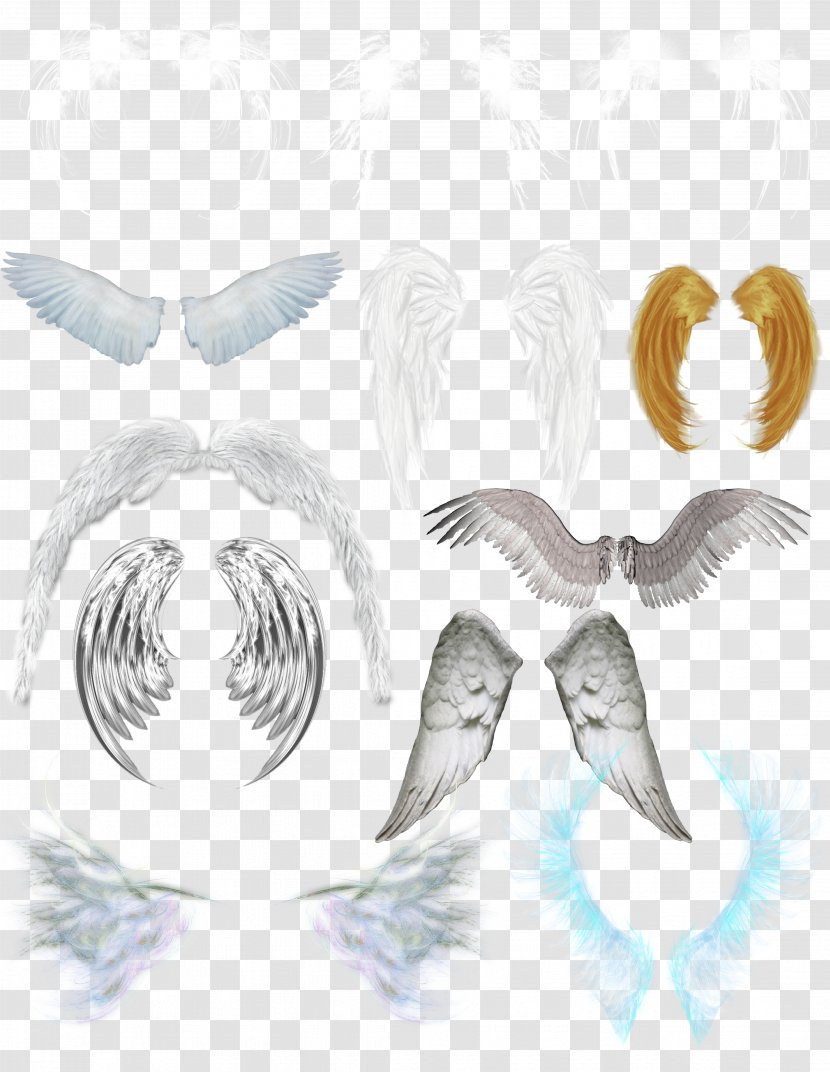 Wing Computer File - Frame - Wings Ornament Transparent PNG