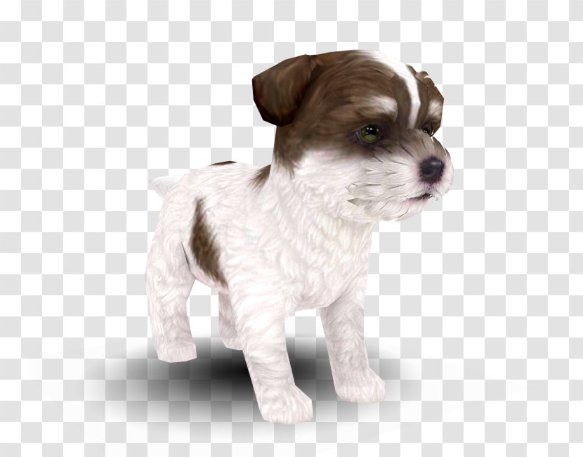 Dog Breed Puppy Nintendogs + Cats Maltese Companion - Carnivoran Transparent PNG