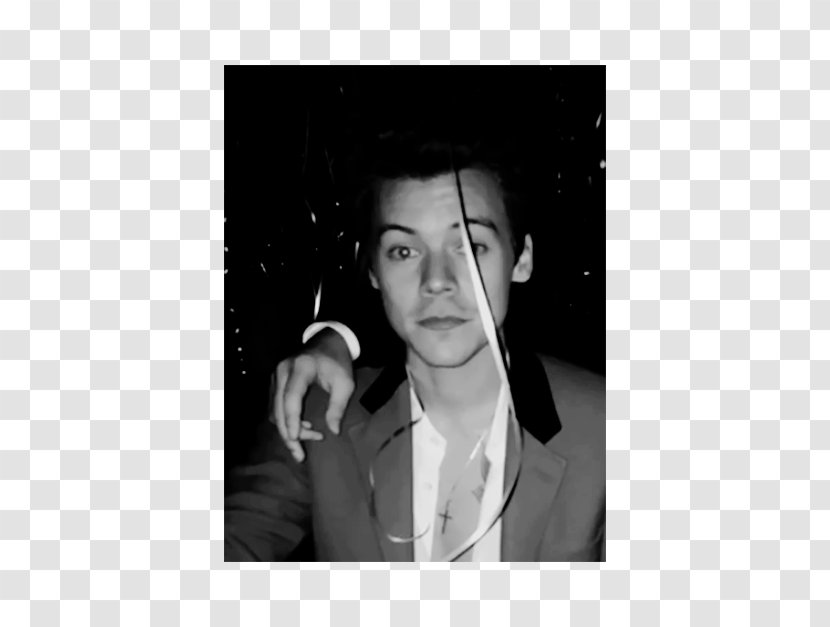 Harry Styles One Direction Birthday Love Portrait - Cartoon Transparent PNG