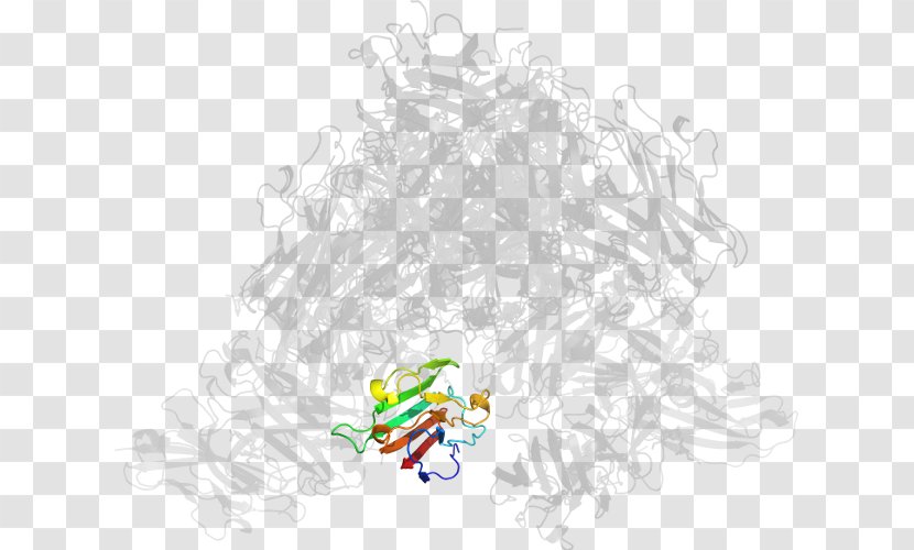 Illustration Bird Cartoon Desktop Wallpaper Product - Yellow - Coxsackie Virus Transparent PNG