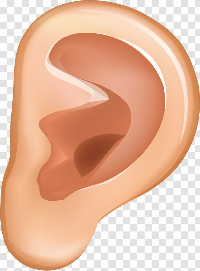 Ear Auricle Animation - Heart - Vector Material Transparent PNG