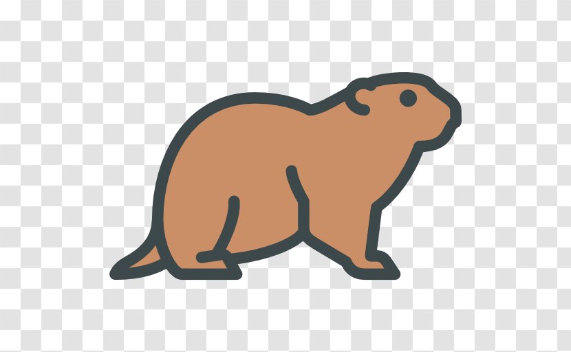 Beaver Squirrel Clip Art - Rodent Transparent PNG