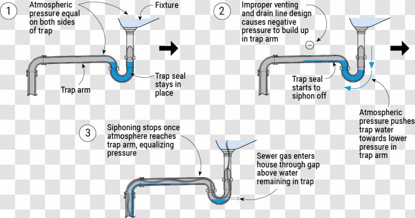 Trap Floor Drain Sink Sewerage - Plumber Transparent PNG