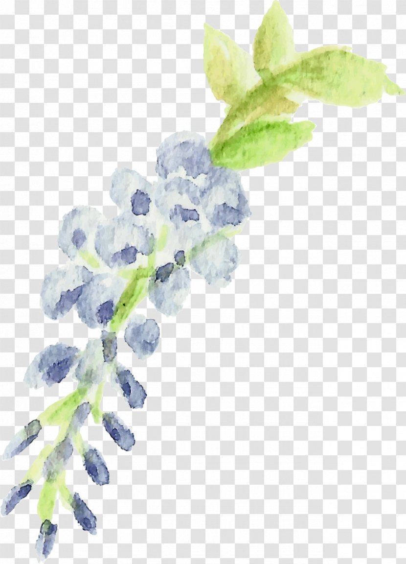 Lilac Violet Plant Stem Lavender - Wisteria Transparent PNG