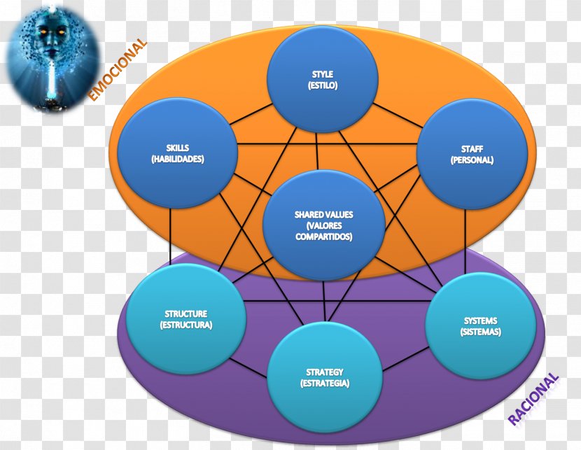 Graphic Design Brand Diagram - Organization Transparent PNG