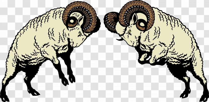 Sheep Ram Fighting Clip Art - Goats - The Year Of Transparent PNG