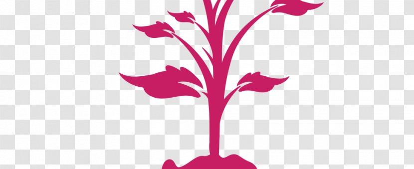 Pink Family Petal Pedicel - Silhouette Transparent PNG