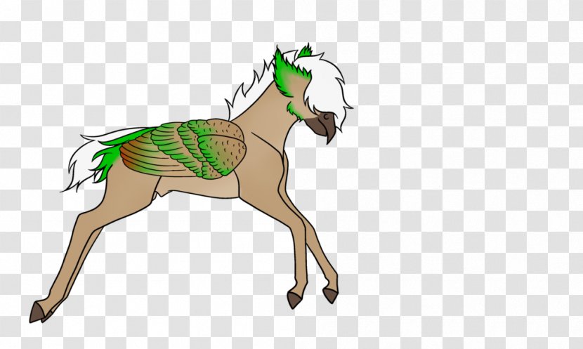 Pony Mustang Foal Stallion Colt - Horse Tack Transparent PNG