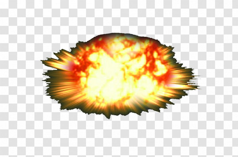 Nuclear Explosion Weapon Bomb - Flower - Photography Transparent PNG