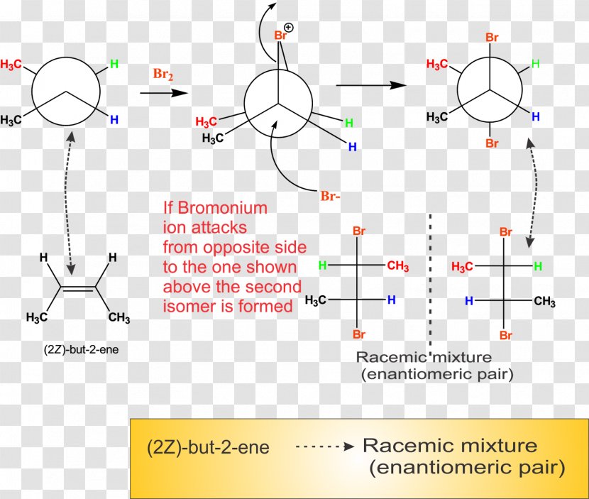 2-Butene Halonium Ion Alkene Chemistry Halogen Addition Reaction - Cistrans Isomerism - Racemic Mixture Transparent PNG