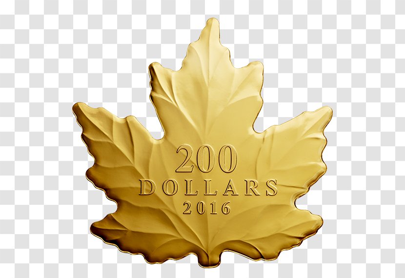 Canada Canadian Gold Maple Leaf Coin - Mint Transparent PNG