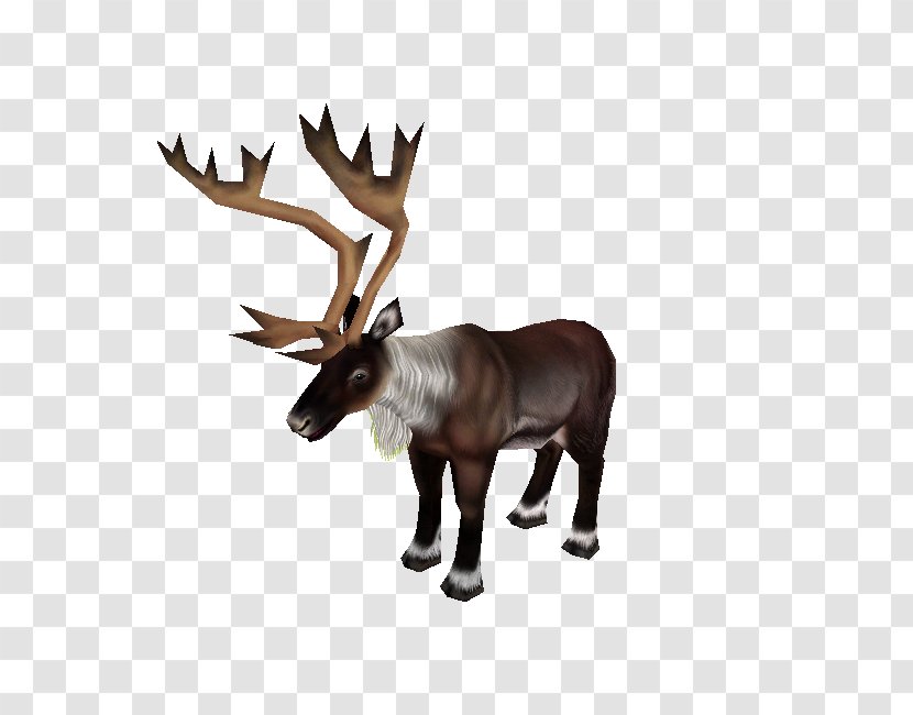 Reindeer Elk Antler Terrestrial Animal Transparent PNG