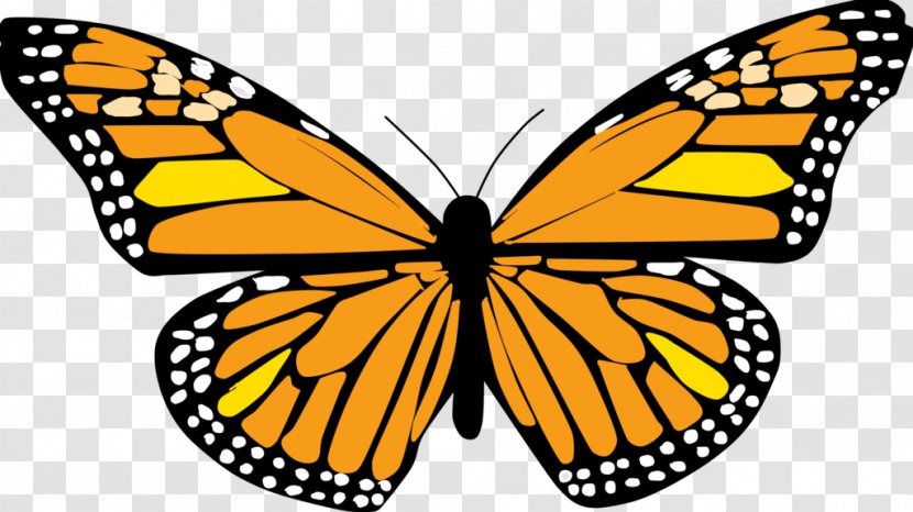 Monarch Butterfly Funeral Home Clip Art - Wing - Red Transparent PNG