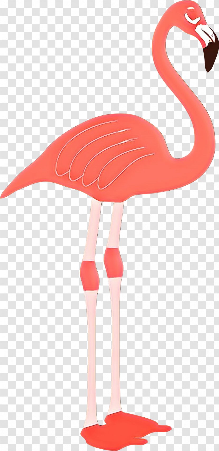 Swans Goose Beak Bird Fernandina Beach - Flamingo Transparent PNG