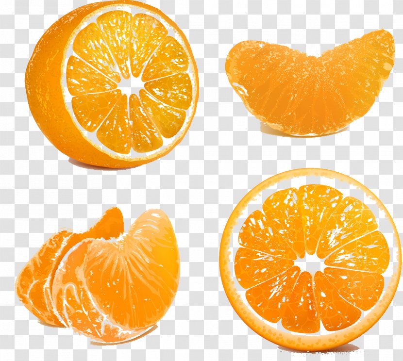 Royalty-free Orange Clip Art - Vegetarian Food Transparent PNG