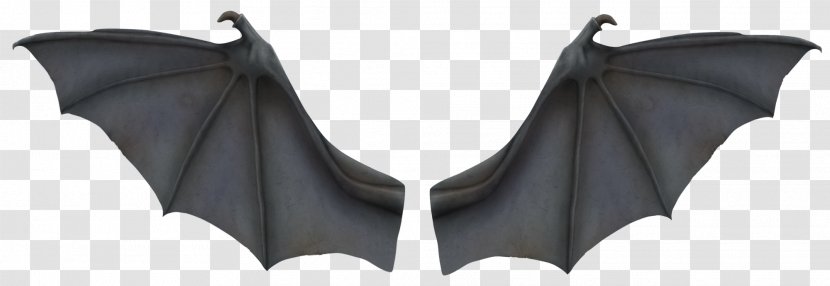 Bat Wing Development Flight Clip Art - Feather - Black Wings Transparent PNG