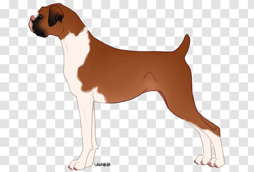 Dog Breed English Foxhound Harrier Boxer - Adopt A Business Card Transparent PNG