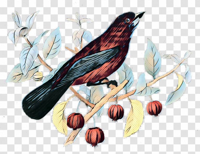 Cardinal Bird - Vintage - Twig House Sparrow Transparent PNG