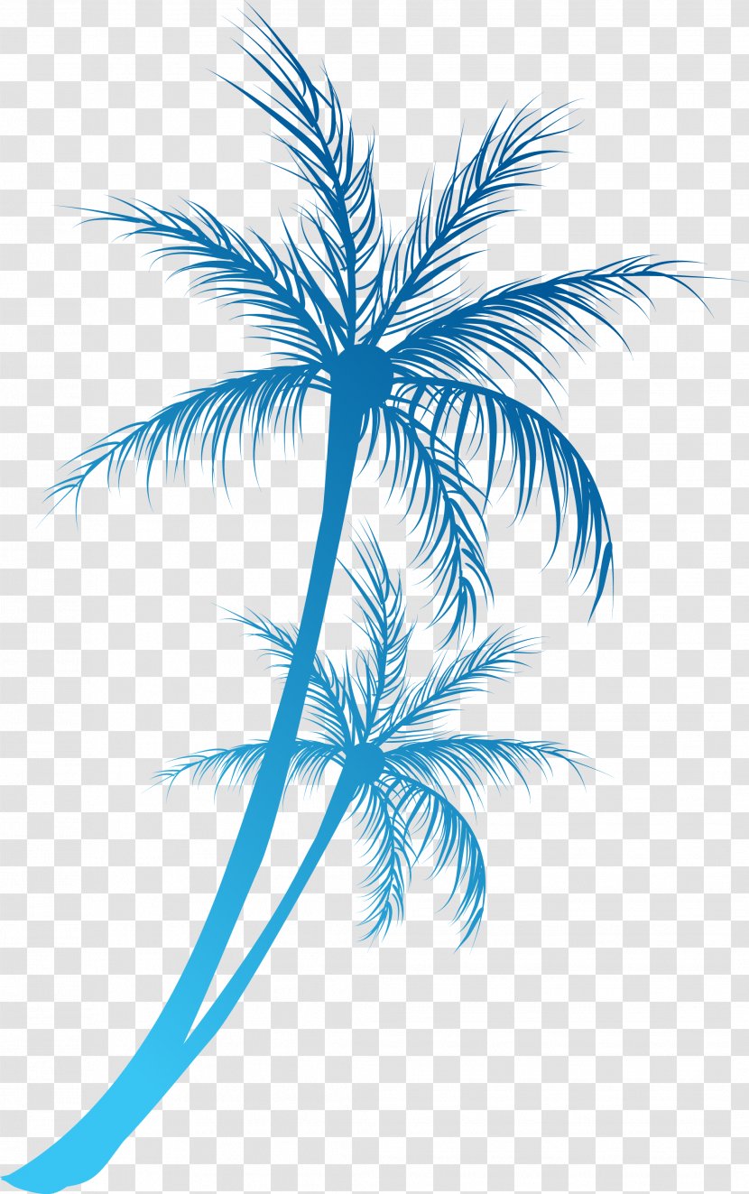 Arecaceae Royalty-free Clip Art - Palm Tree - Great Cartoon Coconut Branch Transparent PNG