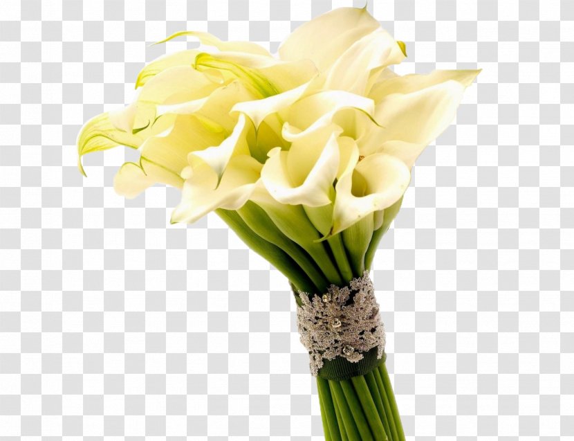 Arum-lily Flower Bouquet Callalily Wallpaper - Flowering Plant - Yellow Taro Photography Photos Transparent PNG