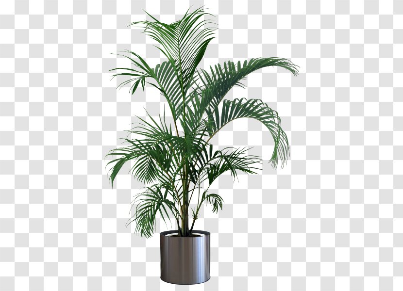 Houseplant Flowerpot Areca Palm Tree - Plant Transparent PNG