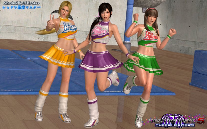 Dead Or Alive 5 Last Round Ultimate Alive: Dimensions Hitomi - Silhouette - Cheerleader Transparent PNG