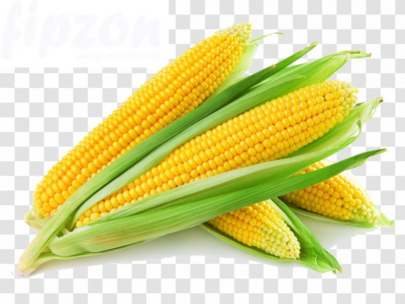 Sweet Corn Popcorn Flint On The Cob Vegetable - Commodity - Makka Transparent PNG