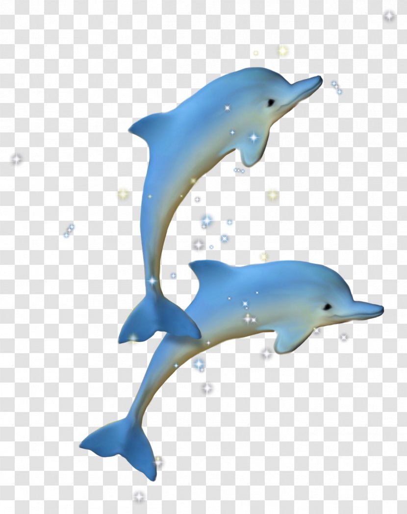 Dolphin Clip Art Drawing Image - Fin Transparent PNG