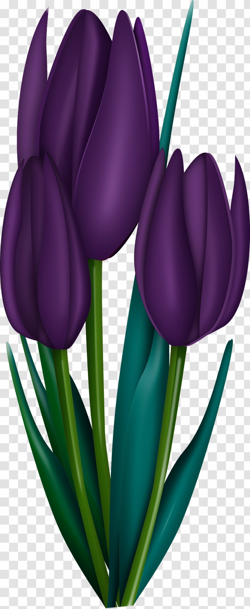 Flower Art Painting Drawing Clip - 60 Transparent PNG